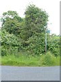 Overgrown Footpath Entrance