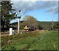 The Newquay train nr St Blazey