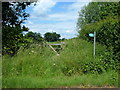 Overgrown Public Footpath