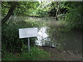 Pond in Middleton-on-Sea village centre