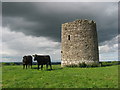 O0658 : Windmill at Garristown, Co. Dublin by Kieran Campbell