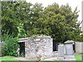 The Fortingall Yew