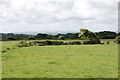 Footpath near Treswallock