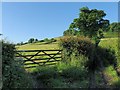 Gateway on Denbury Down Lane