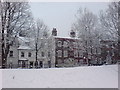 Prospect Row in the Snow