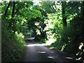 Unnamed wooded lane down Hardings Hill