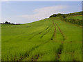 Farmland, Preston