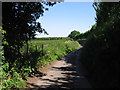 Looking N along Wenterton Lane