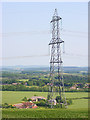 Glebe Farm and pylon, Broadmayne