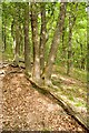 Craigendarroch - Rocky Hill of Oaks