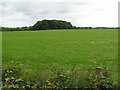 Motte at Glenstall