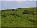 Pastures, Holworth