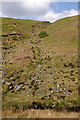 SD6556 : Folds Clough by Mr T