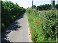 View along lane near Deerson Farm