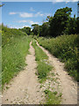 Footpath at Sledge Green