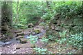 Stepping Stones, Scugdale Beck