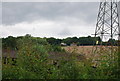 Overlooking Barden Furnace Farm to Cottages on a hillside