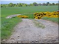 Track to Shannoch, Little Glenshee