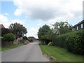 Looking up Rudwick Way