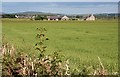 Nether Dallachy from the Speyside Way