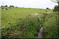 Brook near Brindley Lea Hall