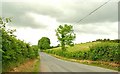 The Cahard Road near Saintfield