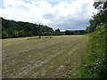 Field along side the River Ayr