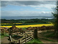 Firth of Forth from the Cullaloe Hills