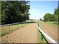 The new gallops at Helshaw Grange