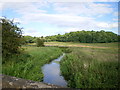 SJ6331 : River Tern near Stoke Grange by Richard Law