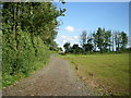 Farm track at Helshaw Grange