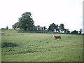 Derelict building near Helshaw Grange