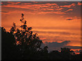 TQ2995 : Sunset, Oakwood, London N14 by Christine Matthews