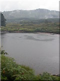 NM6949 : River Aline, Claggan Pool in rain by Peter Bond