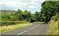 The Ballymena Road near Carnlough (2)