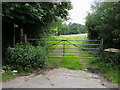 Footpath off Longbottom Lane