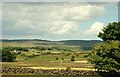 Drystone walls near The Sheddings