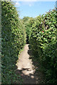 Footpath along the ridge