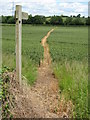 Footpath to Hampton