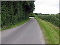 Road past St Nicholas, Fundenhall, Norfolk