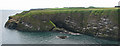 Looking across Thornyhive Bay at headland to the south