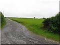 Track leading to Cilgwyn-Uchaf