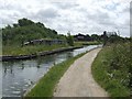 Aqueduct on the Birchills Canal