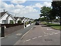 SZ0995 : Muscliff: bungalows in Castle Lane by Chris Downer