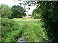 Boverton Brook beside the by-pass