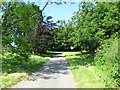 Lane leading to Williamston Farm