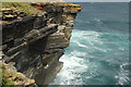 HY5055 : Cliffs, North Hill RSPB reserve, Papa Westray by hayley green