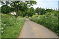 A country road at Greenwells