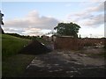 Looking into derelict farm buildings at Old Edinbarnet