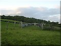 Sheep pen north of West Muirhouses